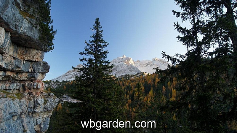 wbgarden alps 143.JPG